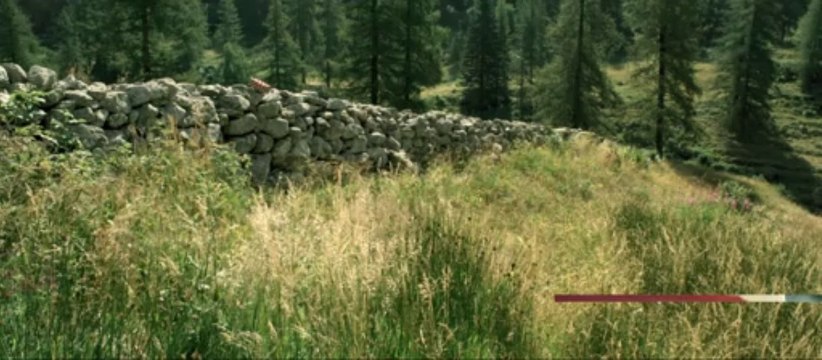 MINUSCULE LA VALLEE DES FOURMIS PERDUES EN 3D - Bande-annonce VF