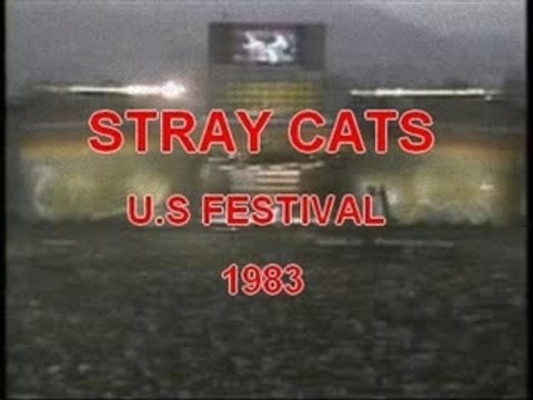 Stray Cats - Rock This Town (Live)