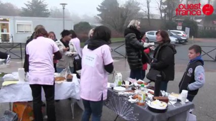 greve sage femmes rennes CHU