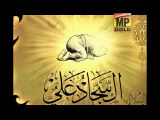 VEERANI MAQTAL MA - SYED ALI RAZA NAQVI(2013-2014) - MULTAN