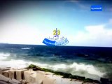 حلقة خاصة من برنامج نبض الشارع بمناسبة مرور 23 عاما على انشاء قناة الاسكندرية