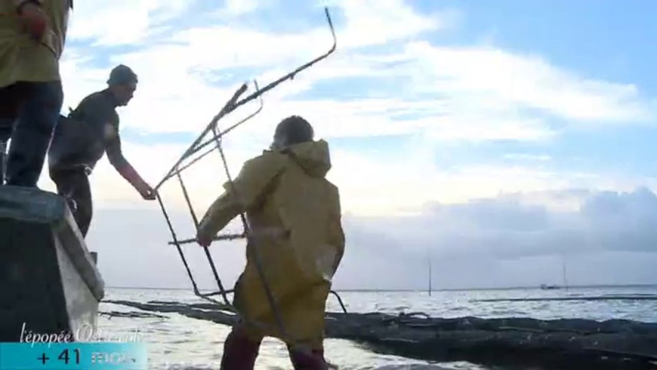 l'épopée ostréiculture