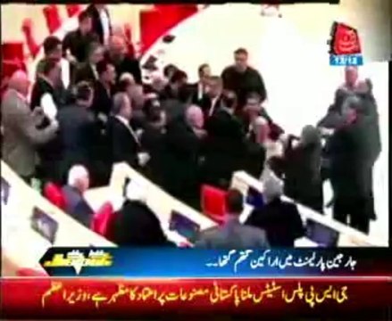 Fight breaks out in Georgian parliament over Ukrainian protests