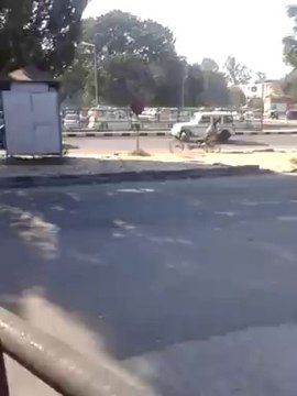 inter cast love marriage problem solution baba ji+91-9914147565