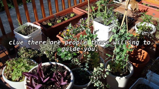 Sun Laboratories Ultra Dark Self Tanning Lotion The No Disorder Potion