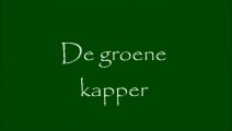 De groene kapper