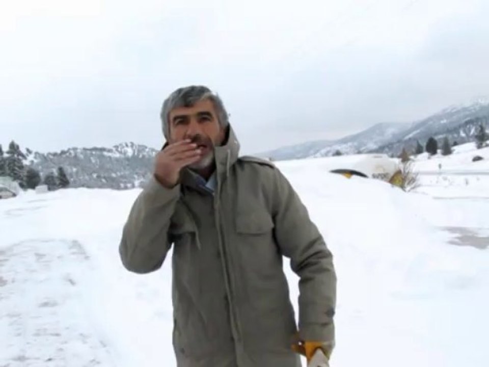 GÖLCÜKTE  KÖPEKLER GÜVENDE