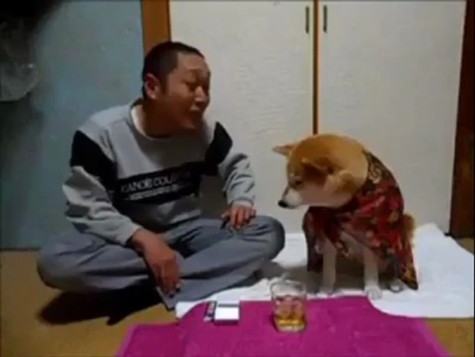 This Dog is So Awesome!! Really Unexpected  Facebook