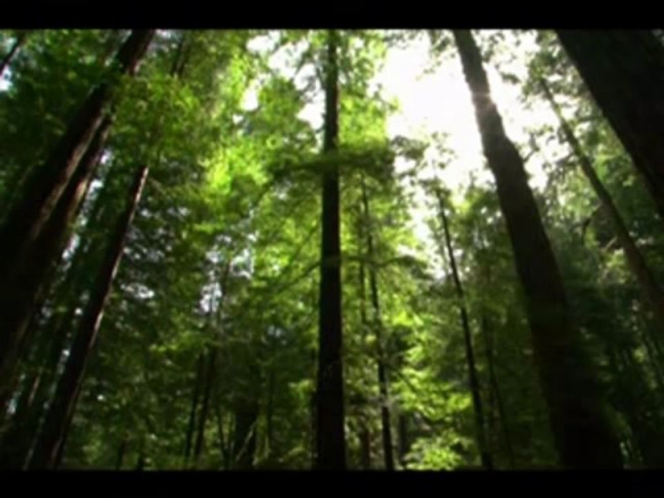 02 - El Sendero Del Mago