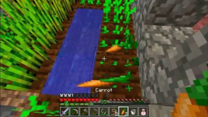 We Do Stuff - Minecraft Edition - Episode 4-2 Horse Hunt