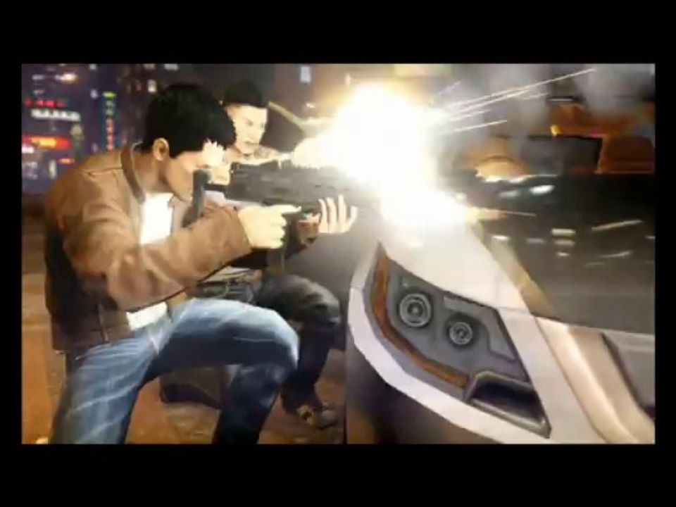 Sleeping dogs 1