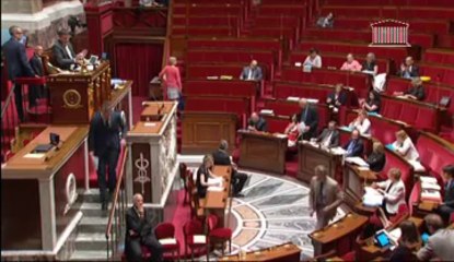 MODERNISATION DE L’ACTION PUBLIQUE TERRITORIALE ET AFFIRMATION DES MÉTROPOLES (suite) - Mercredi 17 Juillet 2013