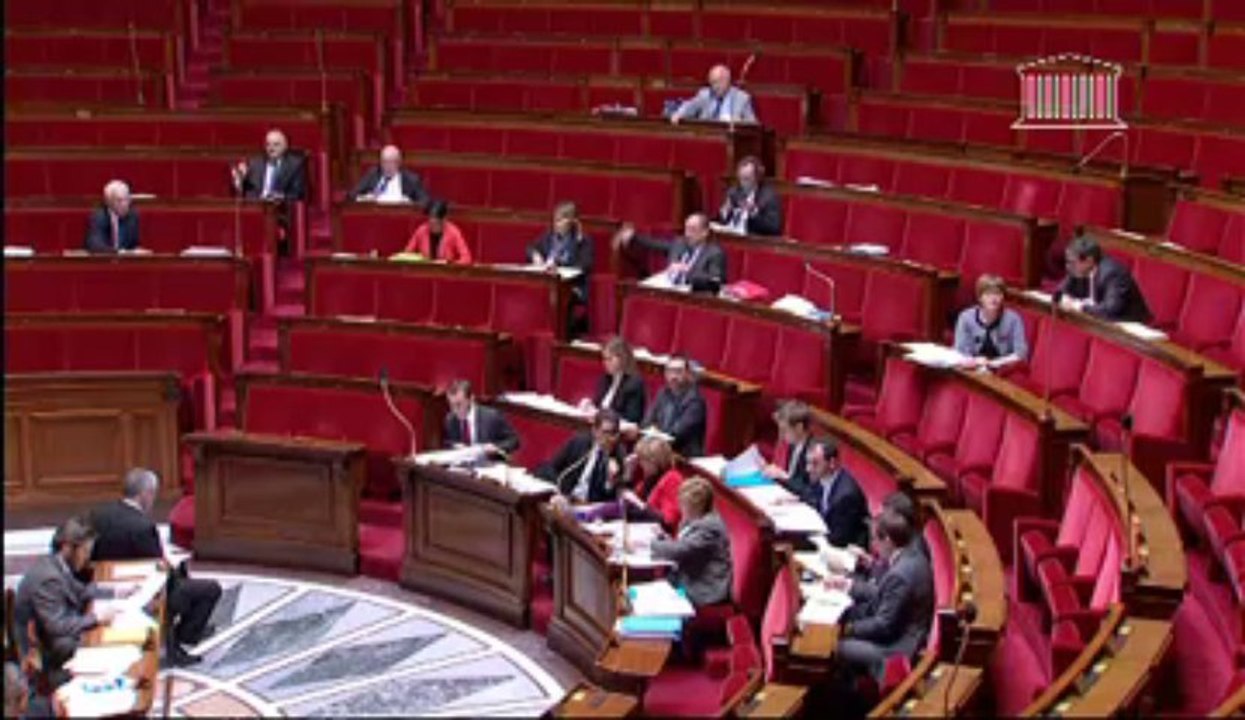 MODERNISATION DE L'ACTION PUBLIQUE TERRITORIALE ET AFFIRMATION DES MÉTROPOLES (deuxième lecture) (suite)  - Jeudi 12 Décembre 2013