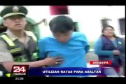 VIDEO: delincuentes de Arequipa usan ratas para robar a transeúntes