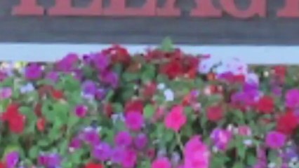 Mediterranean Village Apartments in Sacramento, CA - ForRent.com