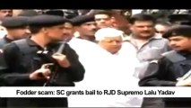 Fodder scam- SC grants bail to RJD Supremo Lalu Yadav
