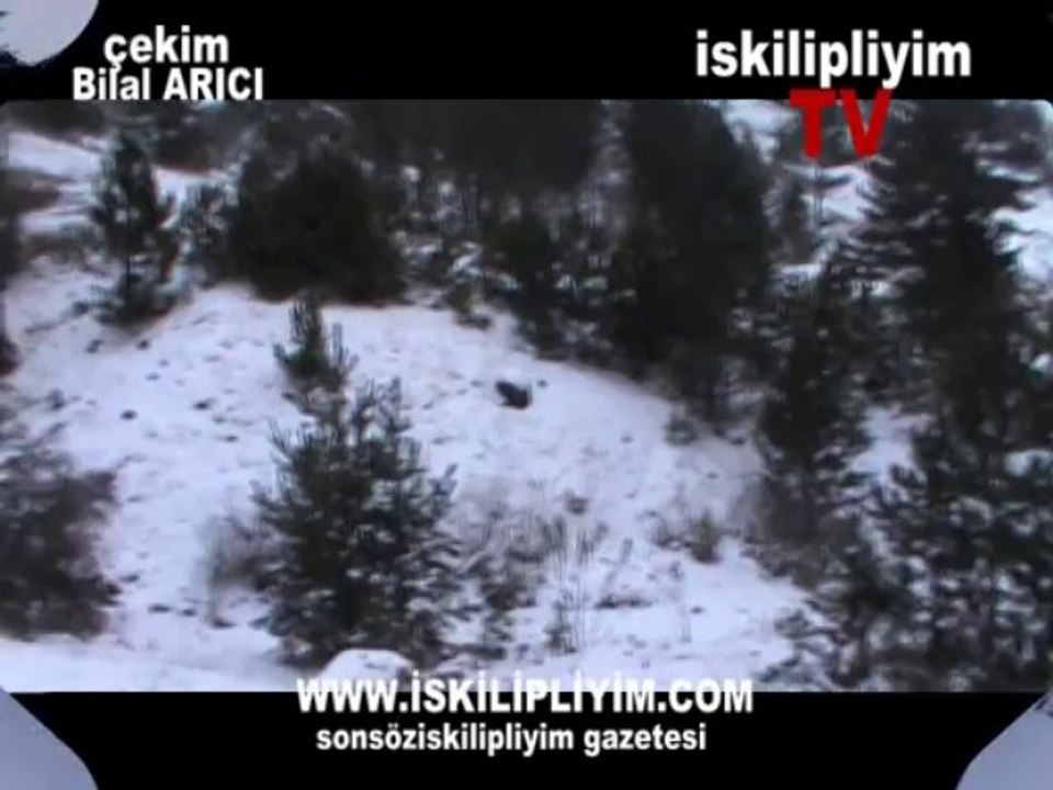 kar siteye izle