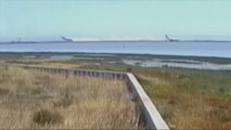 La vidéo du crash du vol 214 Asiana Airlines