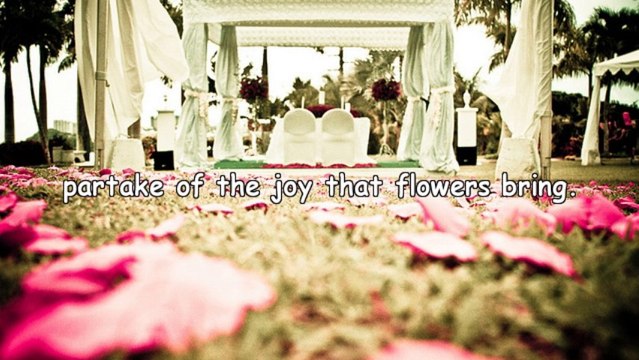 Tips On San Francisco Florist Delivery Services