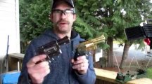 ASG Dan Wesson 2 5 inch Gold - G&G G731 2 5 Airsoft Revolver