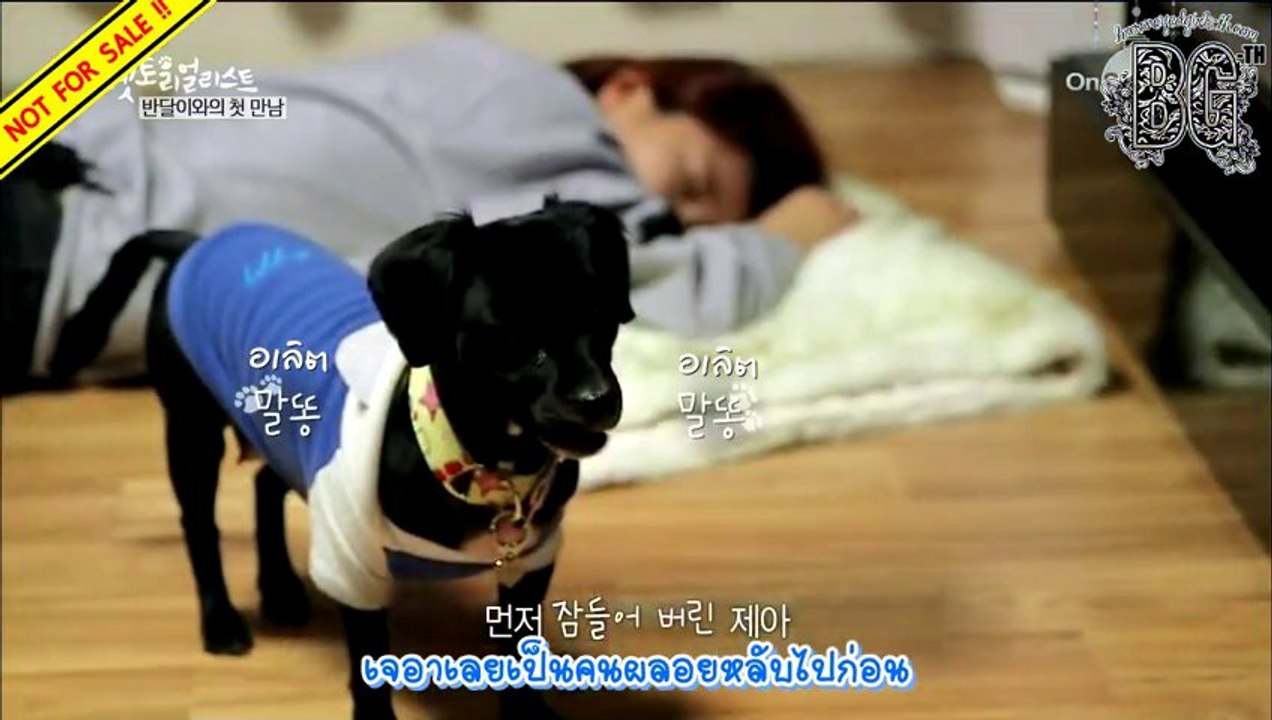 [BG - TH] [Thai Sub] 131207 OnStyle ‘Petorialist’ EP1 – JeA (Cut) (2/3)