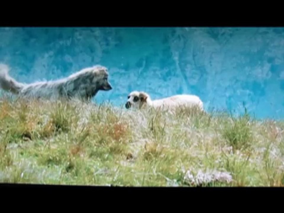 Un film, un raid, Nicolas Vanier repart