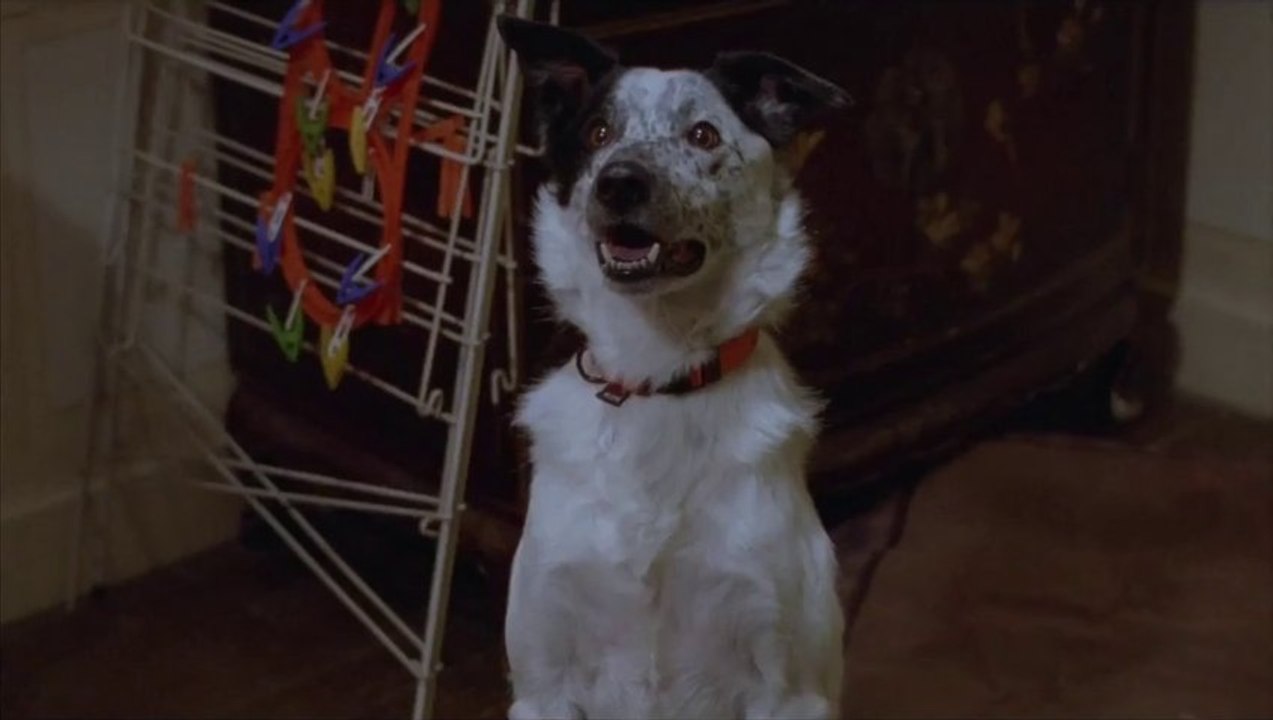 TONNERRE - Bande Annonce du Film (2014) - Vincent Macaigne, Solène Rigot, Bernard Ménez