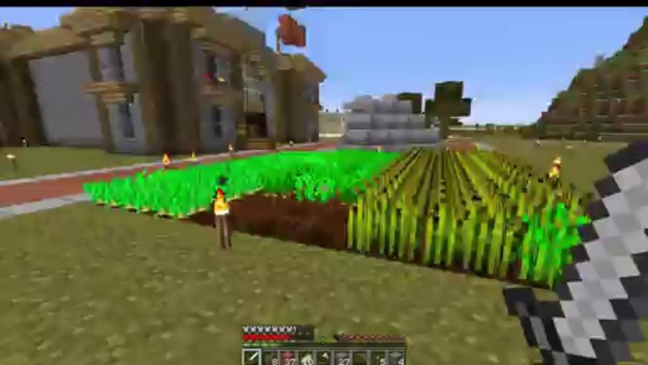 HOLIDAYS - Farm à oeufs / Présentation