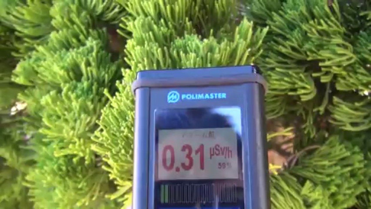 魚屋のオッサンが超逆切れ