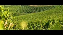 Vente - Propriété viticole La Londe-les-Maures