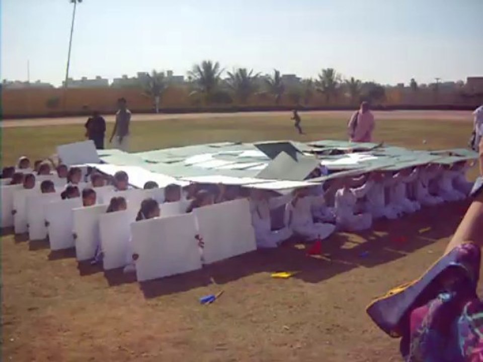 Pakistan Flag ..