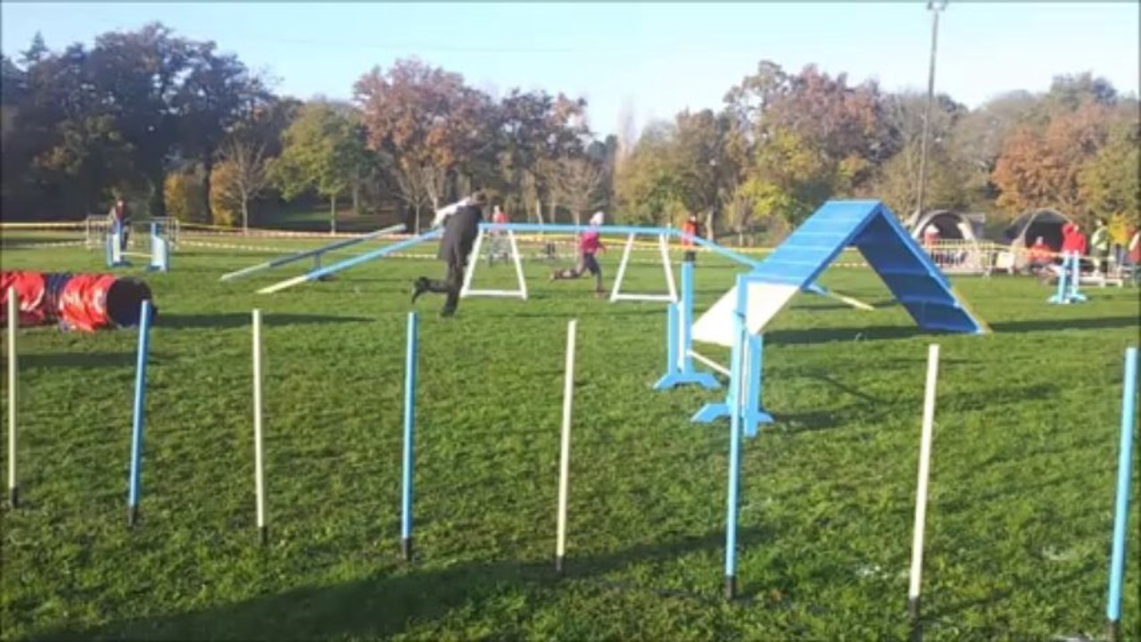 Eclipse : Running contacts that make you smile