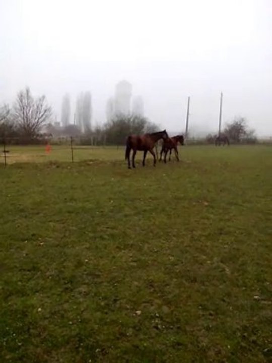VID_20131213_150356.dipti