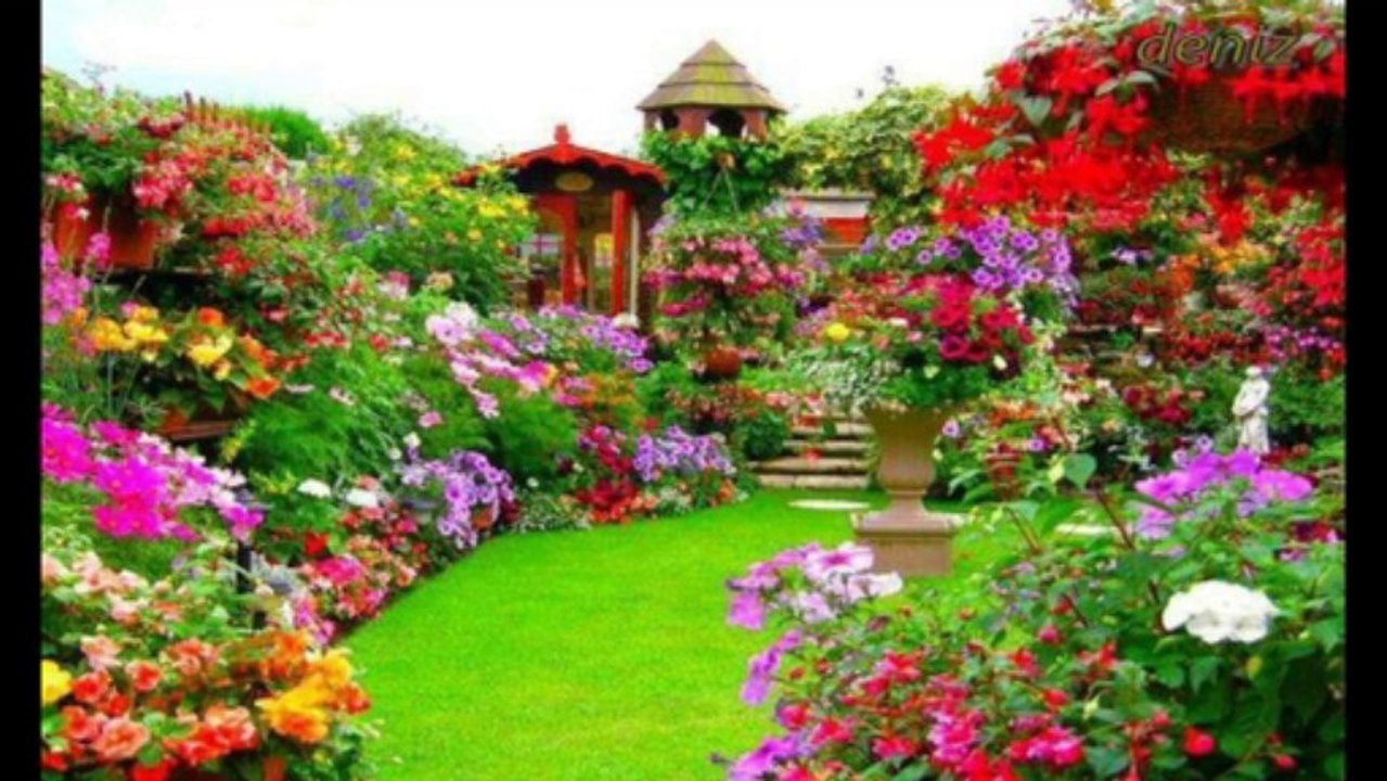 DAGLARI MOR ÇİÇEKLER SARDI