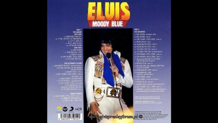 Having Fun With Elvis - Moody Blue Sessions