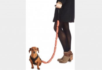 Abe Lincoln Erotic Novel And Hot Dog Leash Lead The WTF Xmas List For 2013