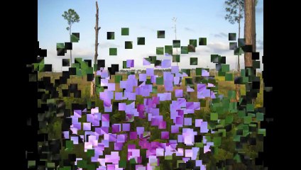 For The Time Will Come