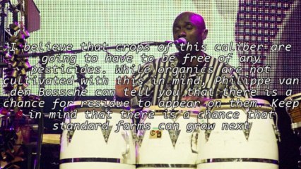 Organic Cleansing & The Efforts Of Philippe Van Den Bossche