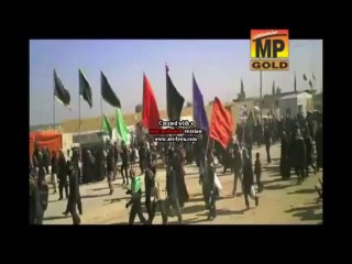 VEER VE VEER VE - SYED ALI RAZA NAQVI(2013-2014) - MULTAN