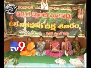 Controversy over Kakarapalli power plant - Journalist Diary