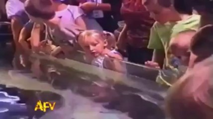 FUNNIEST Scare Pranks- Watch Again