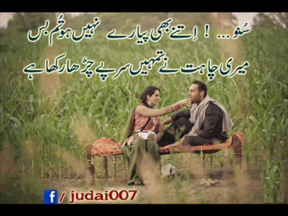rauf shad
