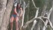 Epic Tarzan FAIL - Jump from the tree and fall