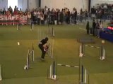 agility: Veebop jumping