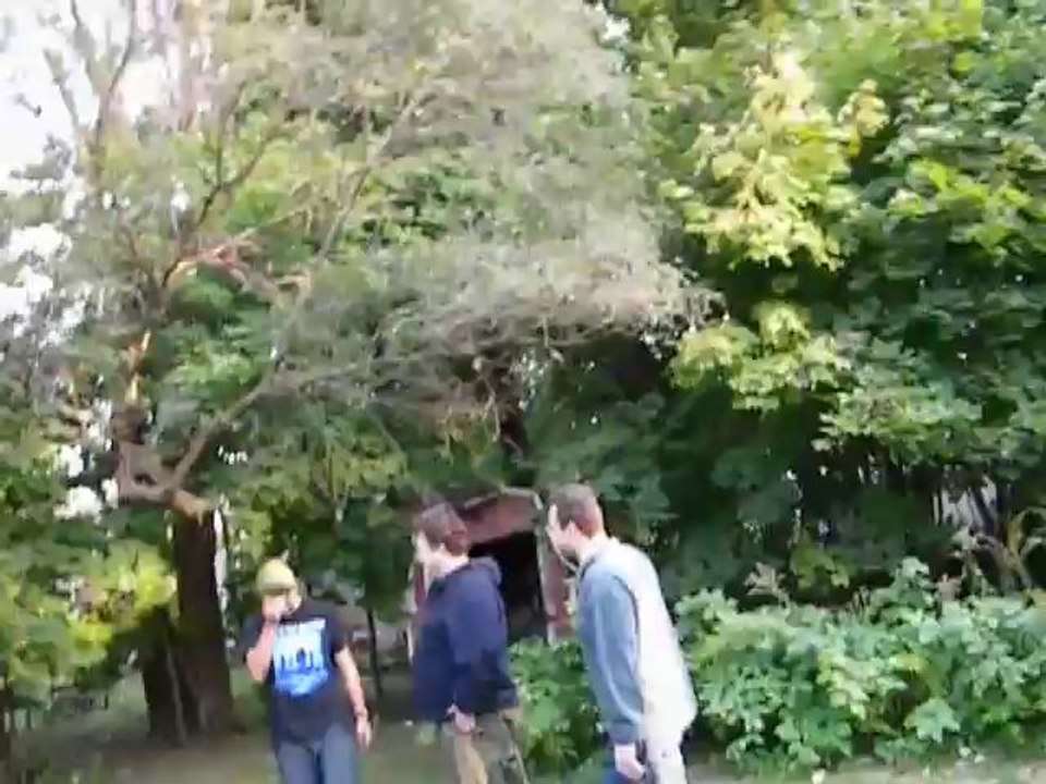 pumpkin chucken full video