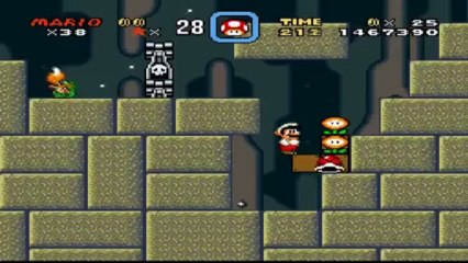 SMW Hack - Master Quest 2 : Papilu s'amuse à faire buguer un bloc.