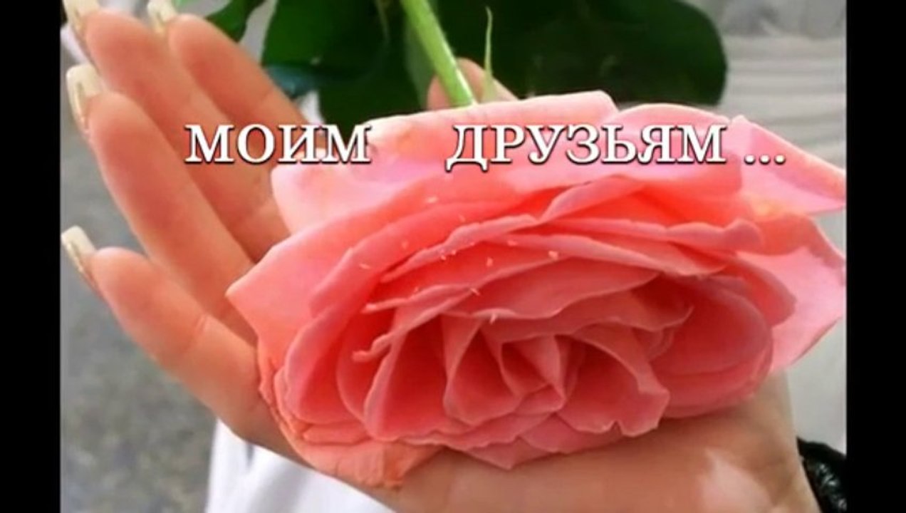 Пожелание друзьям!