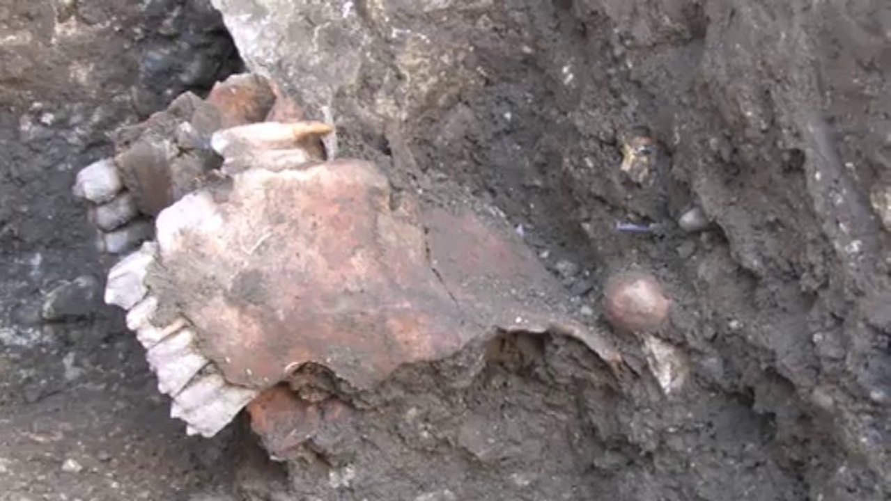 Archäologische Grabungen beim Halterturm in Hainburg