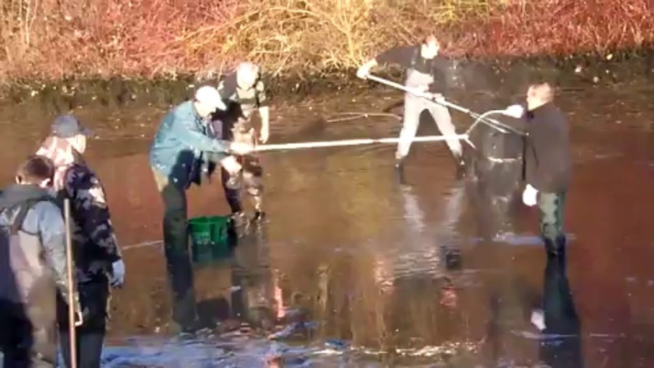 2013-12-14-vidage du bassin d ' alevinage (4)