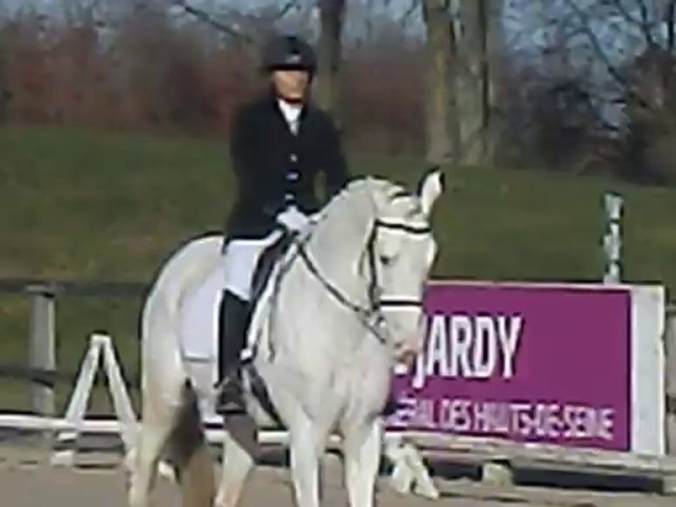 SNOWMAN DRESSAGE JARDY 12/13 Amateur 2